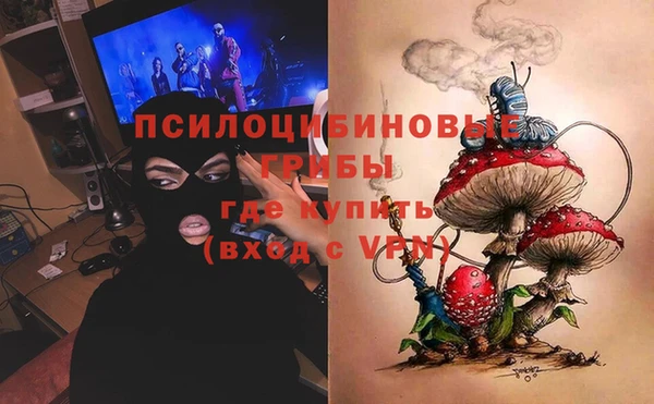 сатива Алексин