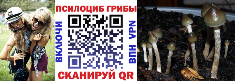 Галлюциногенные грибы мухоморы  купить наркотики цена  Кириллов 
